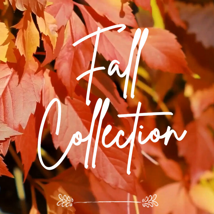 Fall Collection